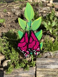 Magenta Butterfly Wing  earrings