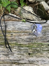 Grateful Dead  Dancing Bear Guitar pick necklace (blue )