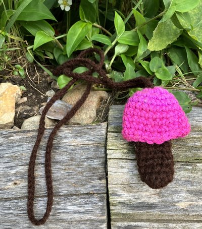 Handmade Crochet Mushroom Pouch necklaces pink purple/brown